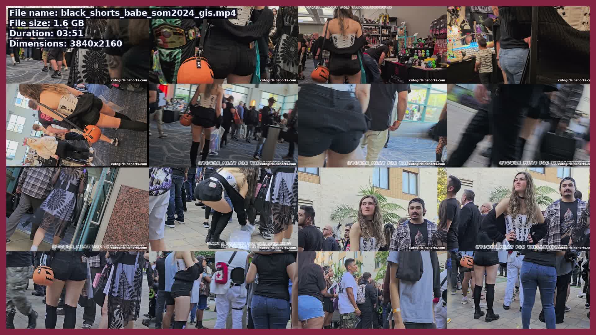 Black Shorts Babe Som 2024