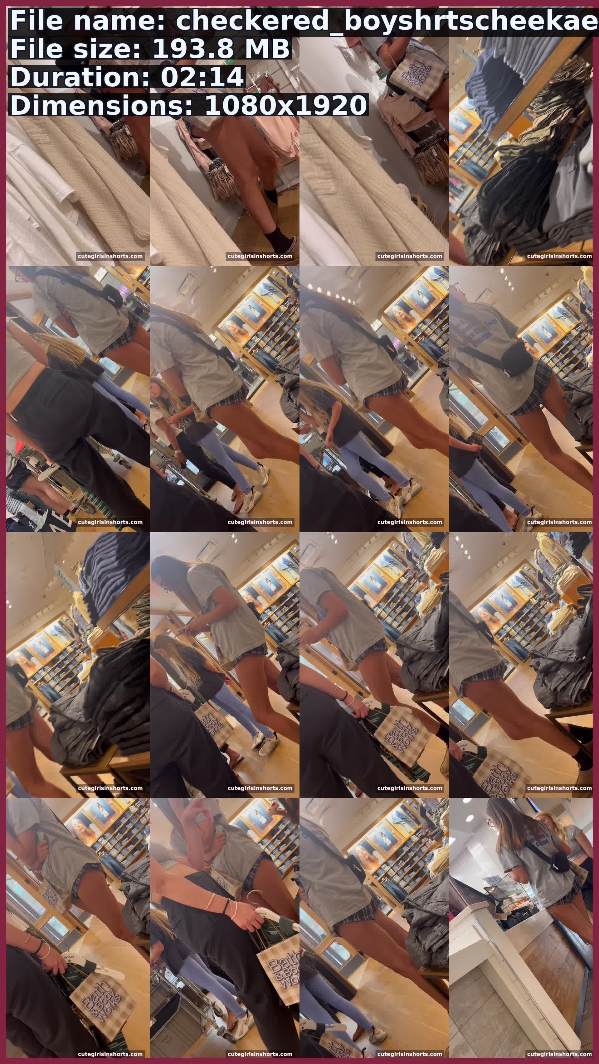 Checkered Boyshrtscheekae