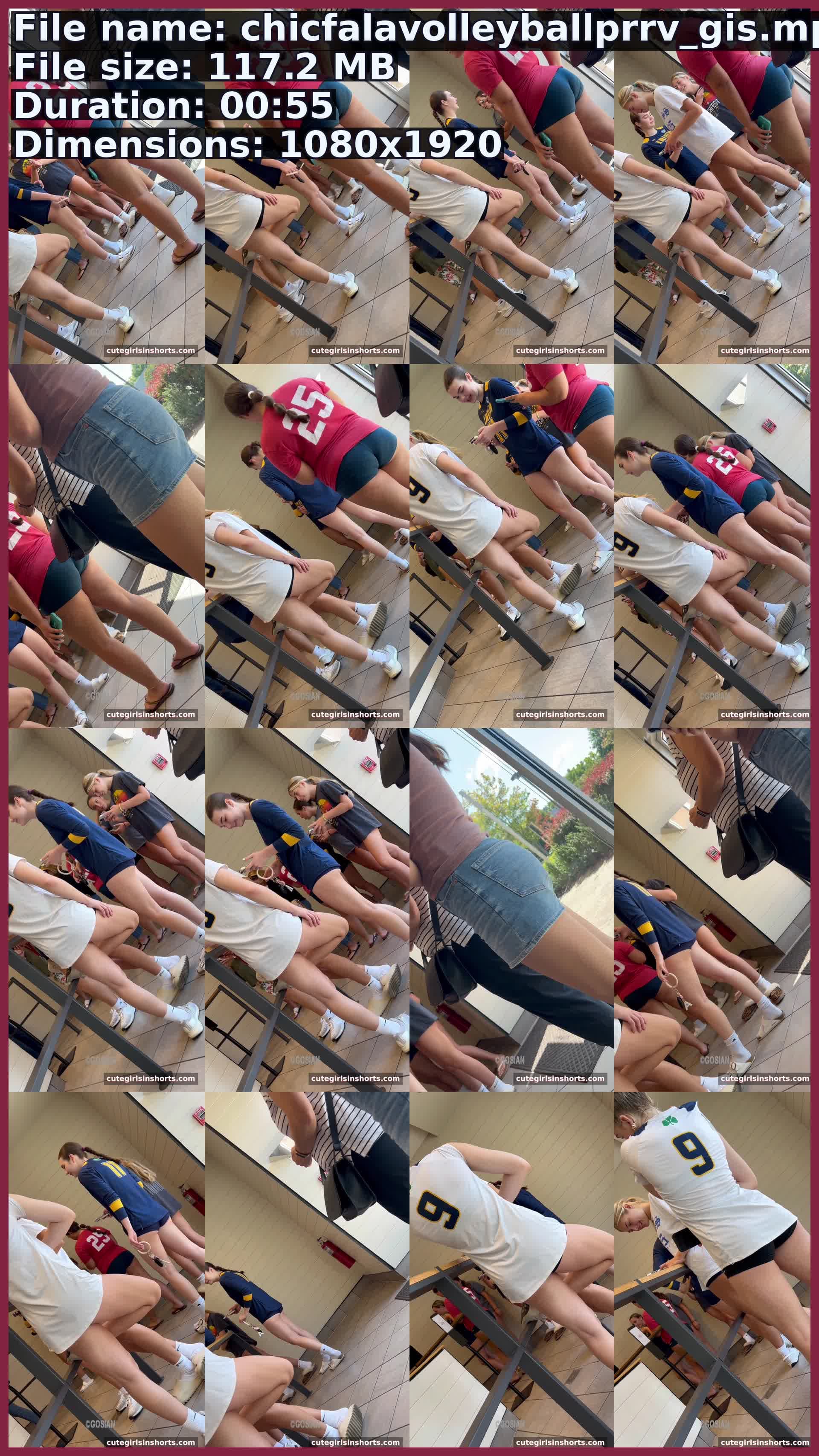 Chicfalavolleyballprrv