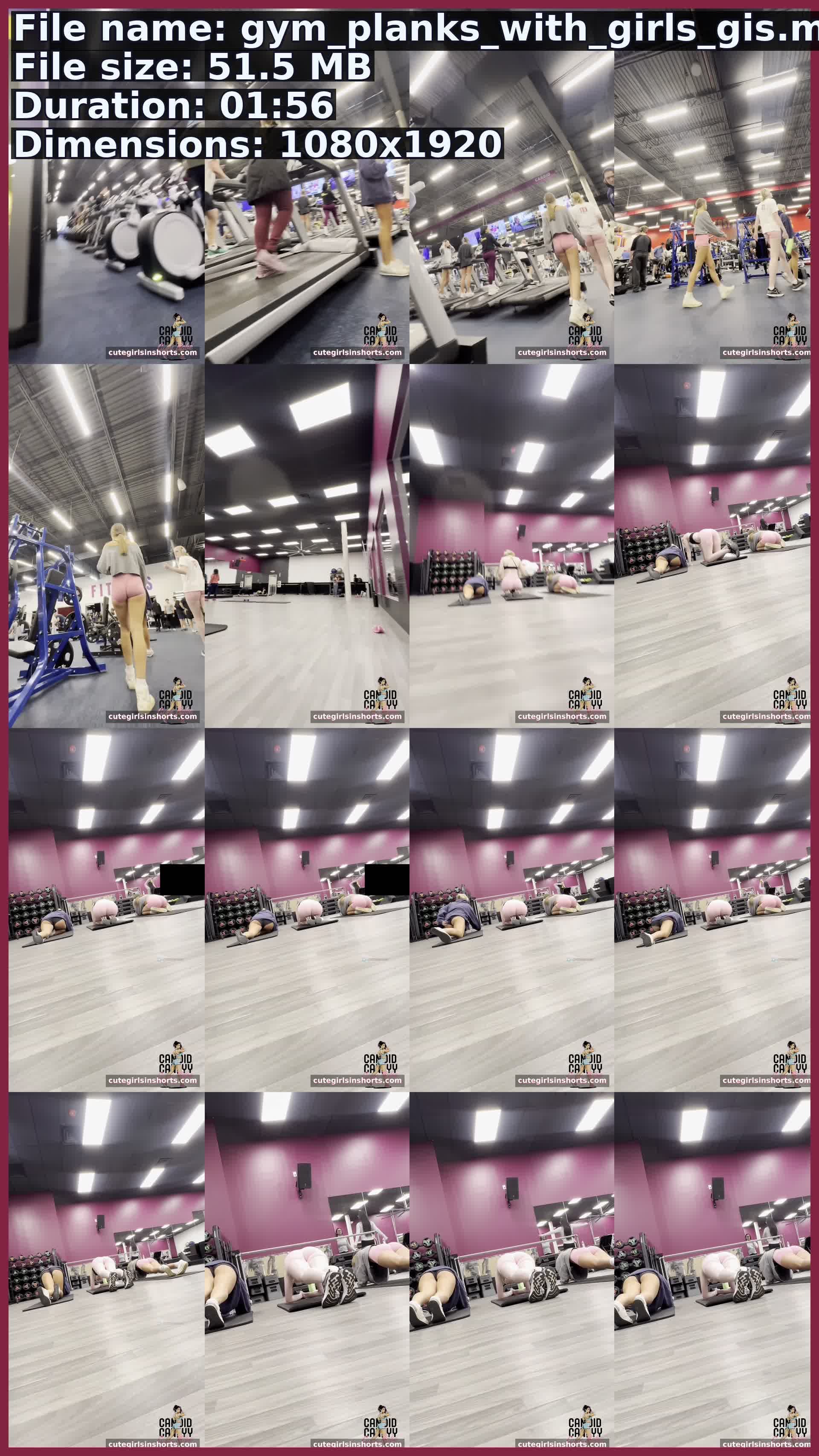 Gym Planks With Girls